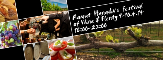 Festival of Wine & Plenty 2014 Banner - English